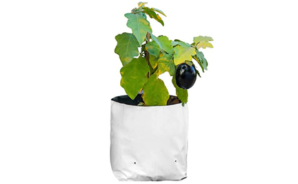 30cm White LDPE Grow Bags